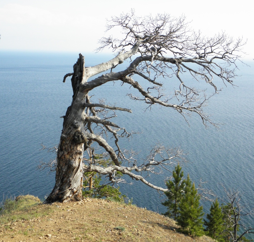 �������, �� ���, �������.......