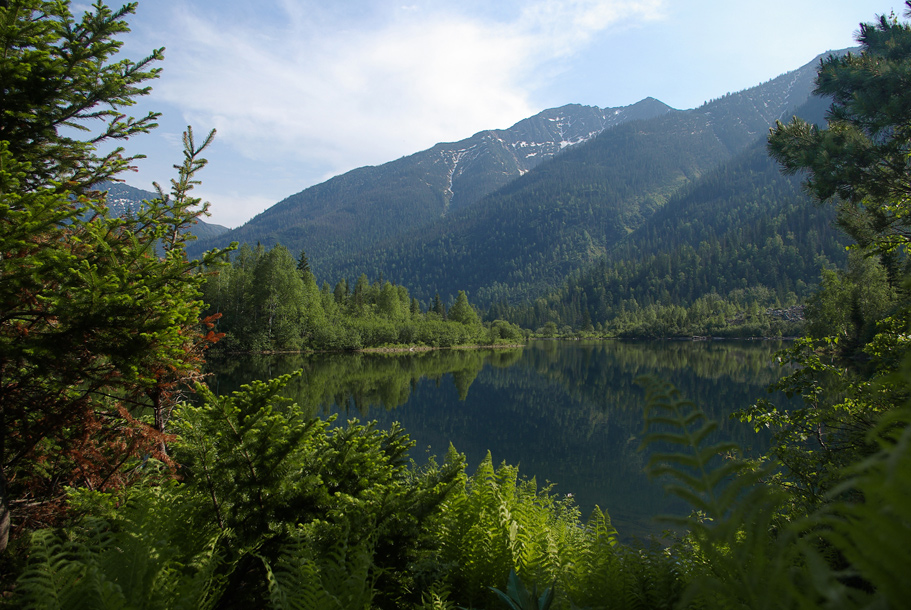 ��� �� ������