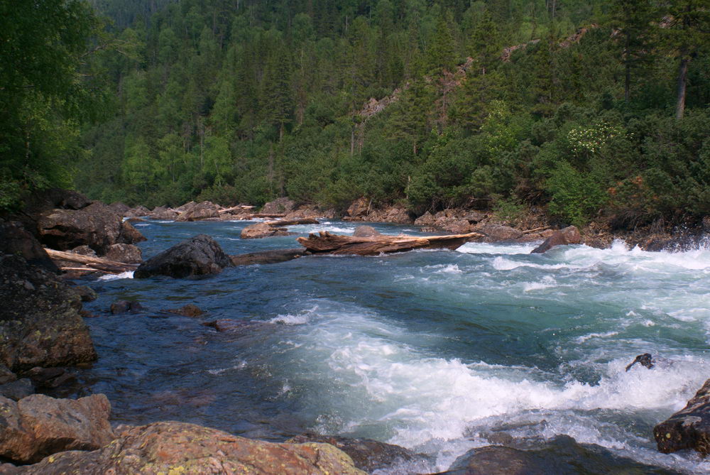 ����������