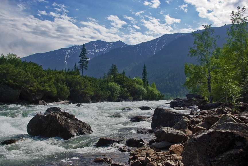 ���� ������ ���������� � ����� ���������