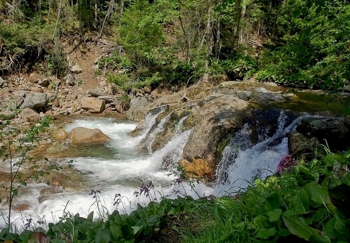 ����� ���