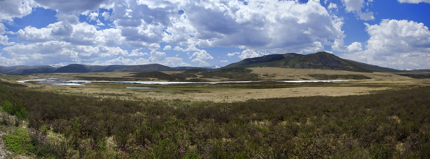 � ������� ������...