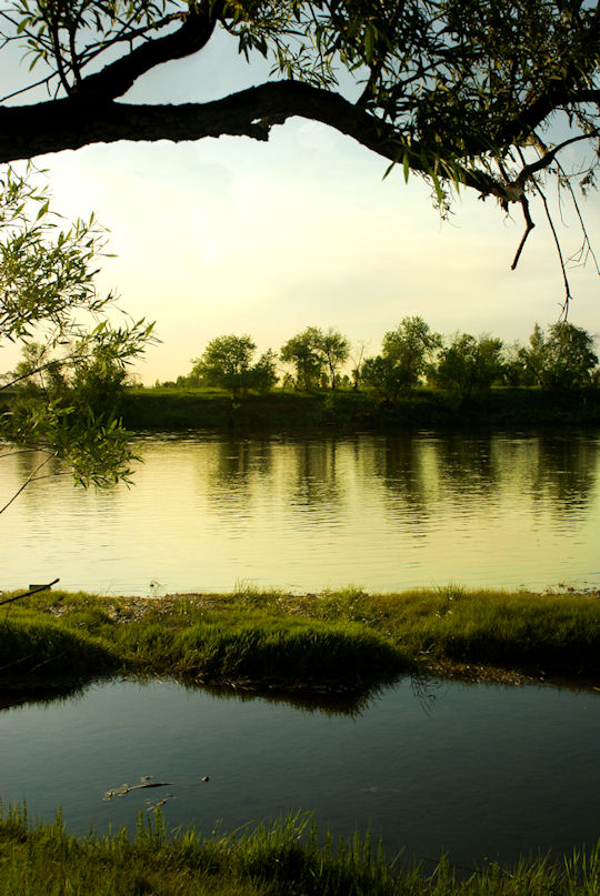 ������� ������