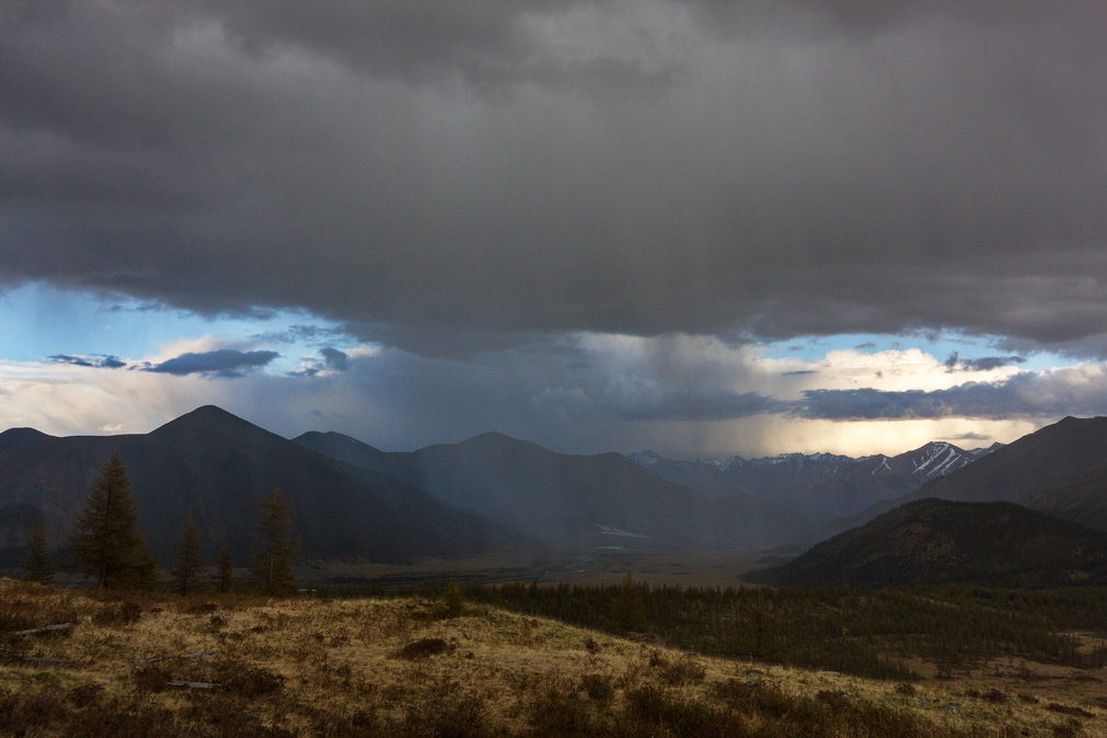 ��� ������ ���� ����� ����� ...