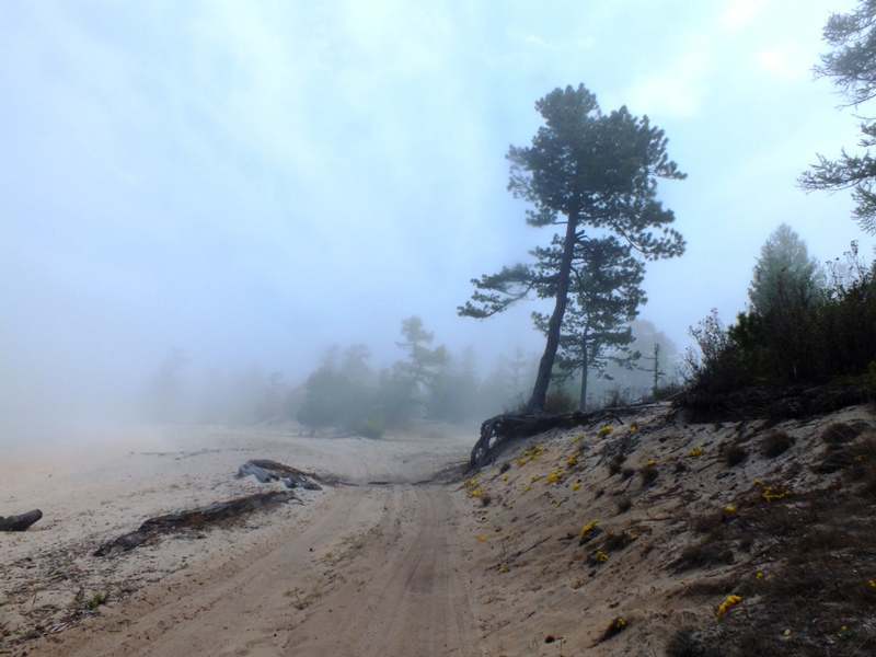 ����� � �������