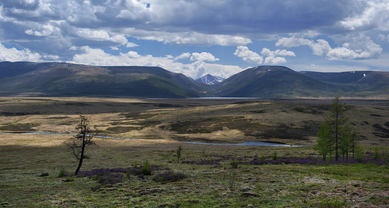 ������ ������...