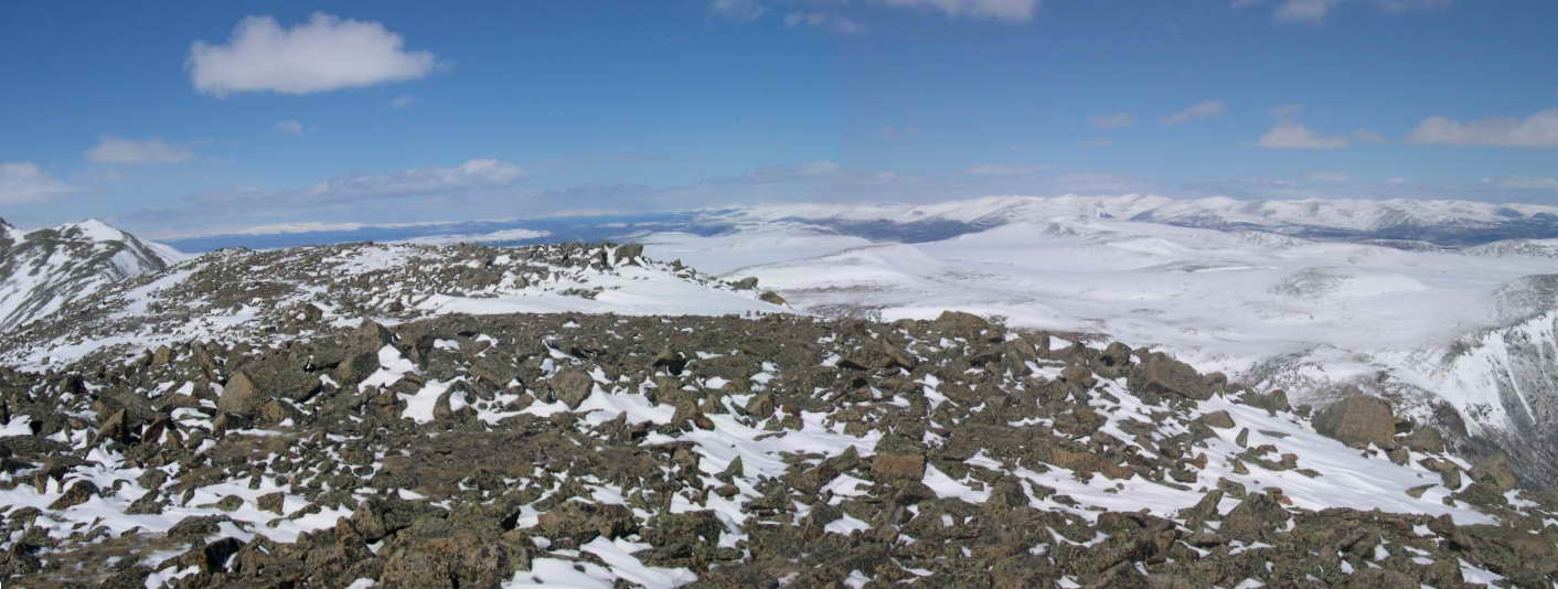 ���� ������