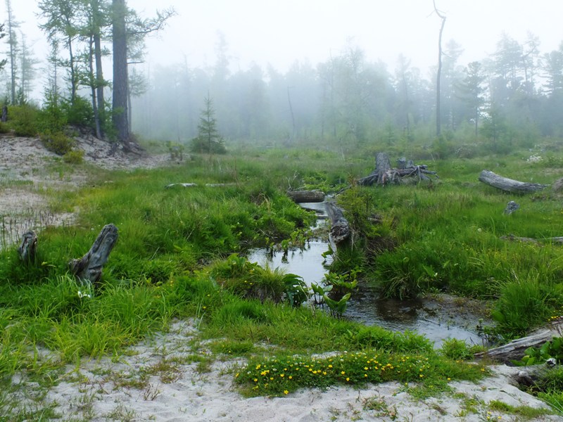 ����� � ������