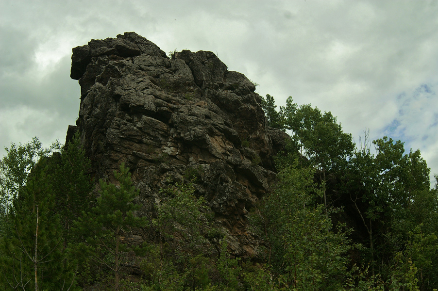 Скальник "Гепард"