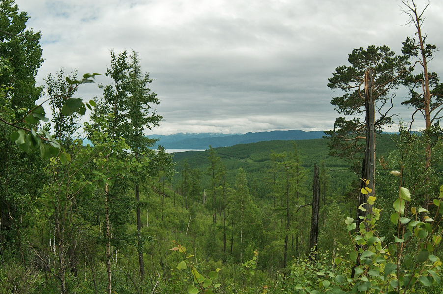 ��� � "�������" �� ������