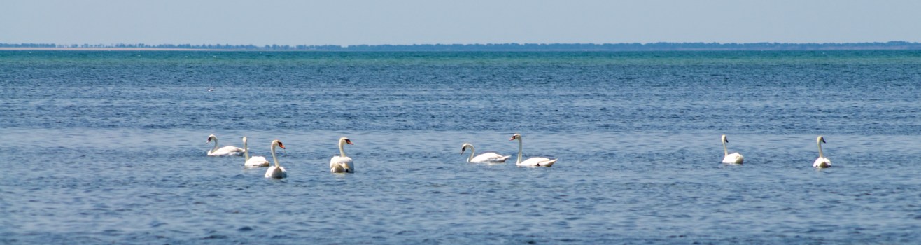 ��������� �����