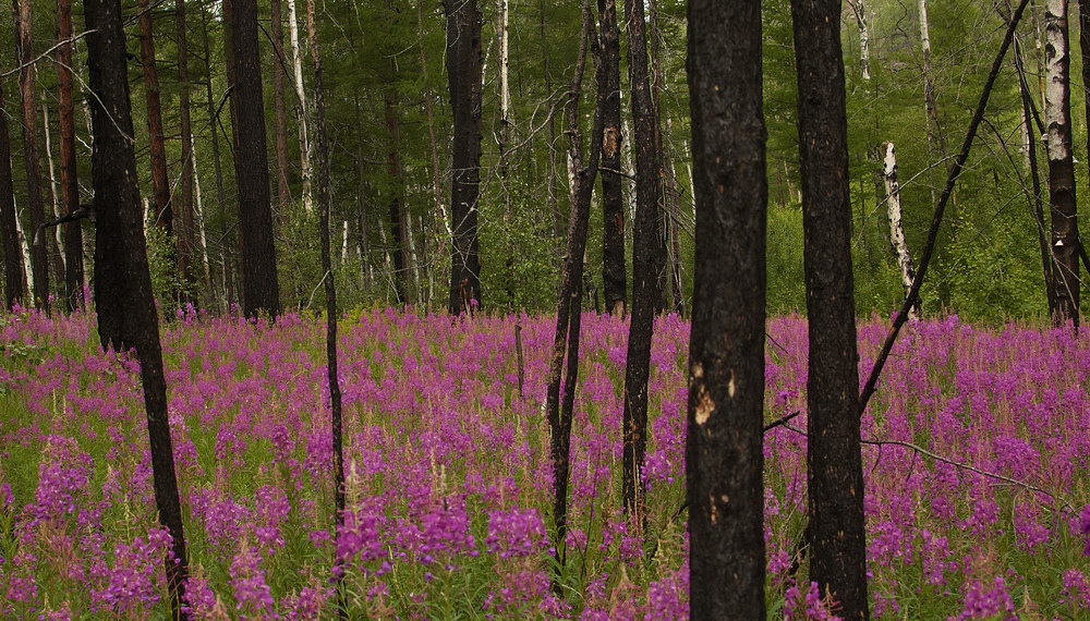 ������ � ����-���� � ������ �����