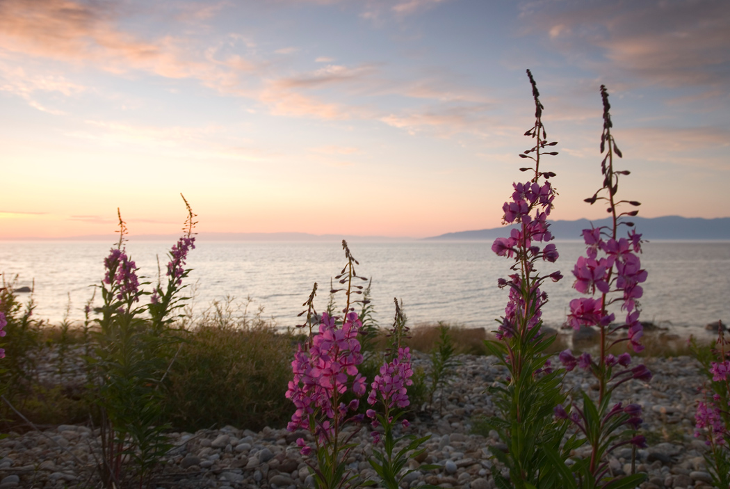 ������ �� ������