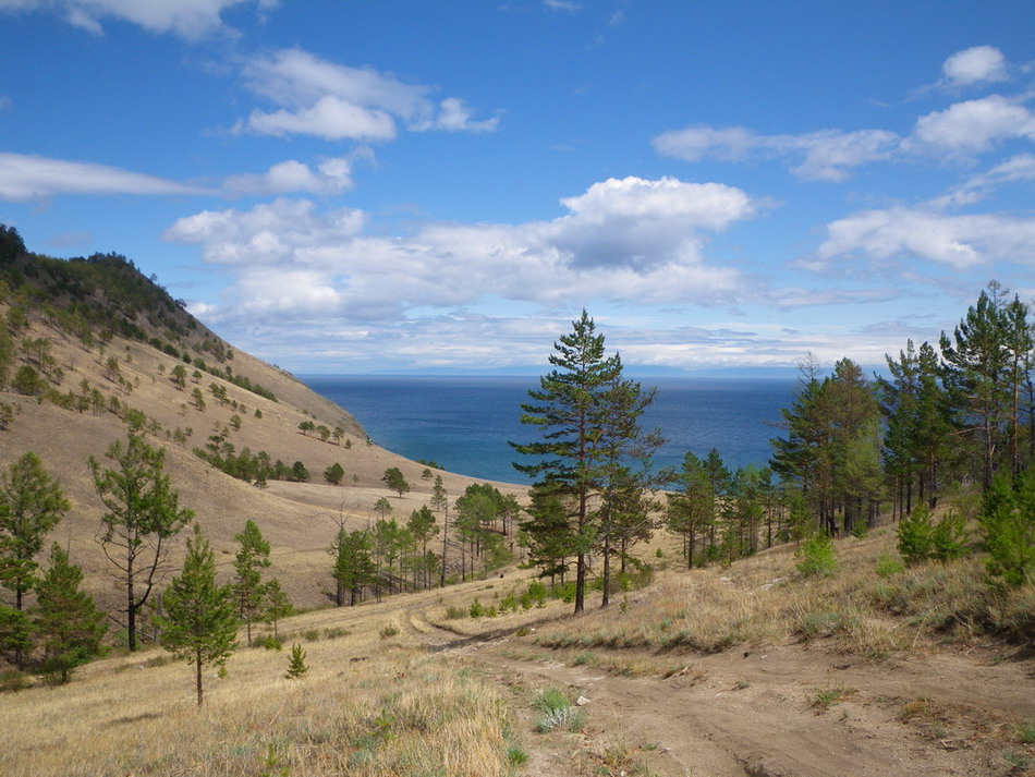  ����� �  ����� ���������. ������ �����.