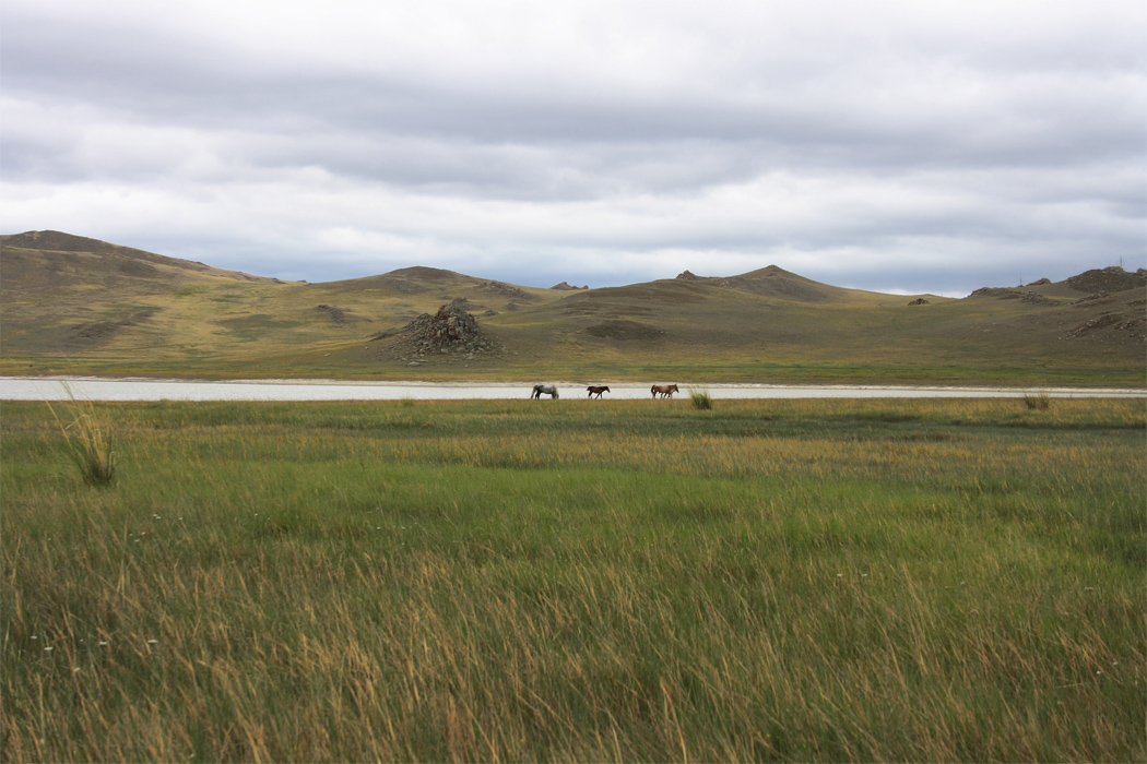 ����������� �����