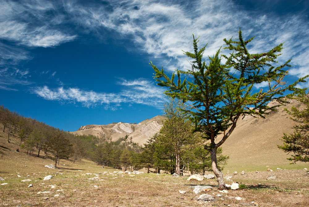 ������ ����������� �����