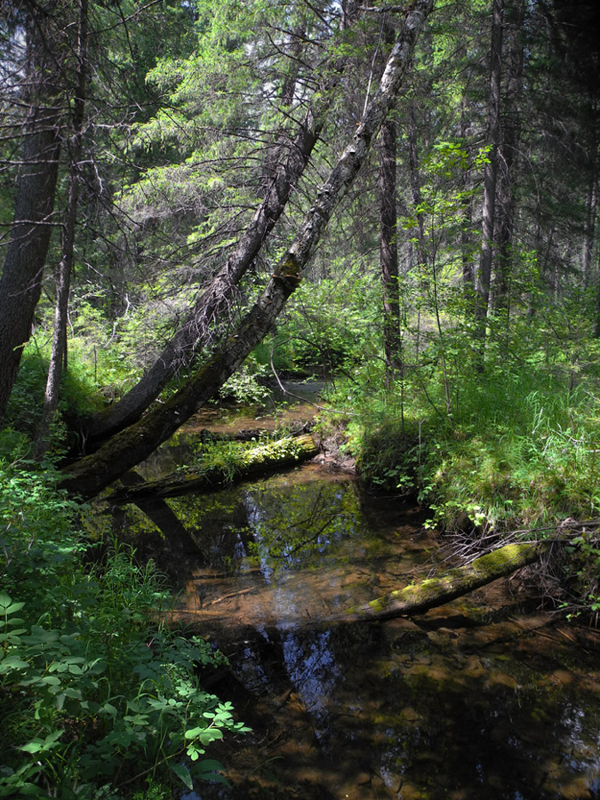 ������ �����