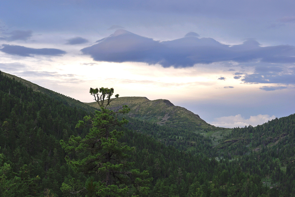 ���-�� � ������....