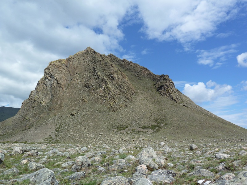 ����� ������