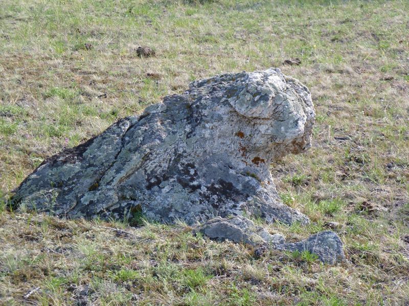 ����������� "�������"