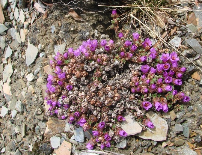 ���������� �����������������? 