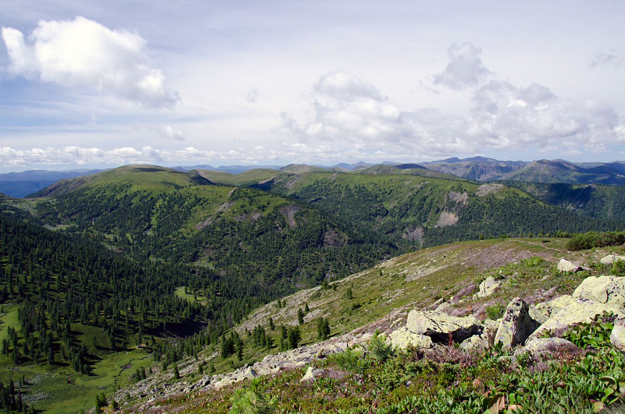 �����-��������� ������