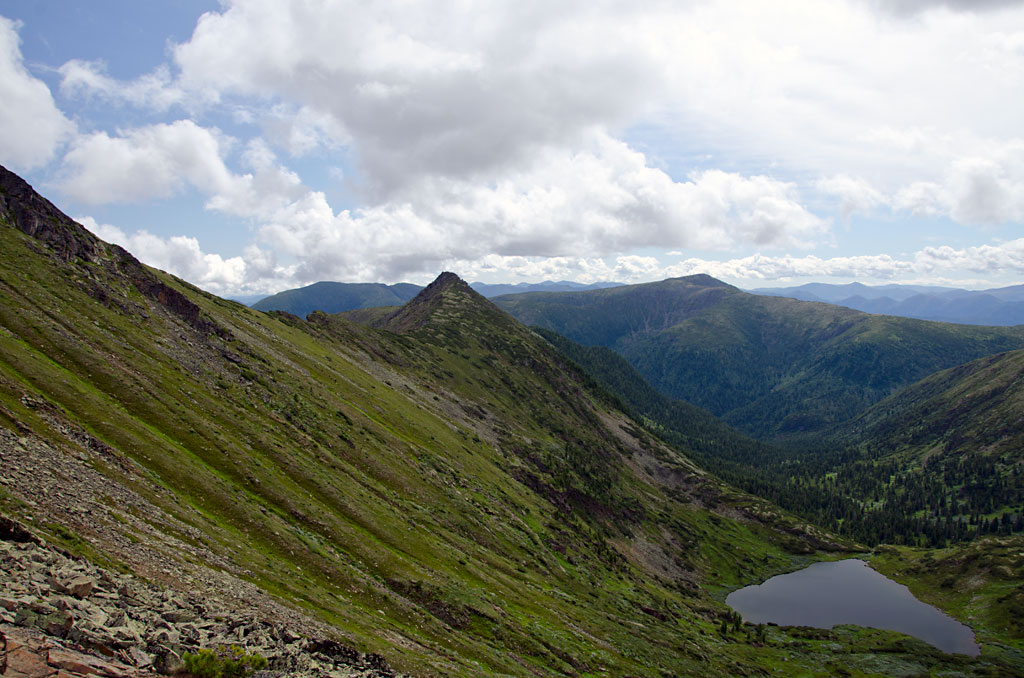 � ����� ������