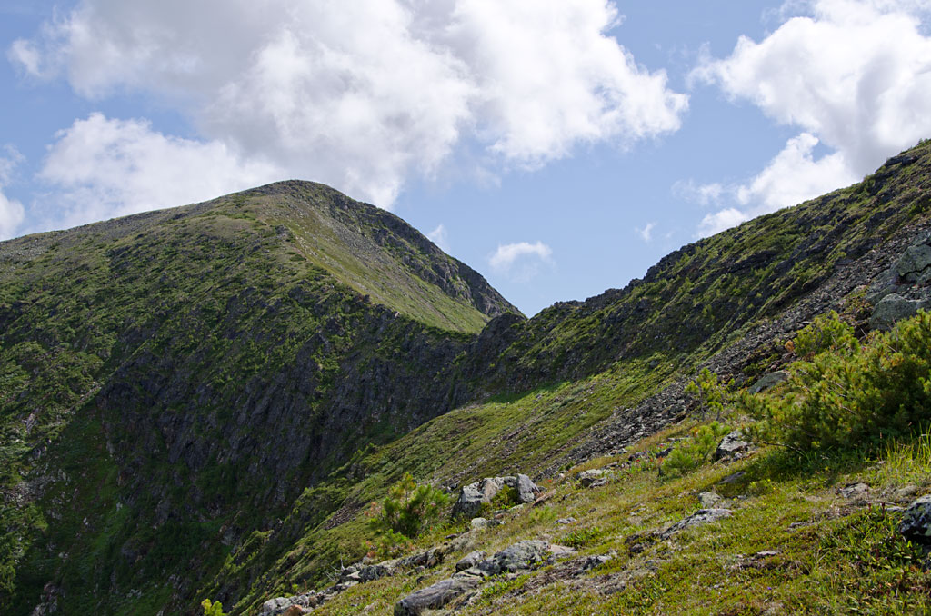 ��� ��������