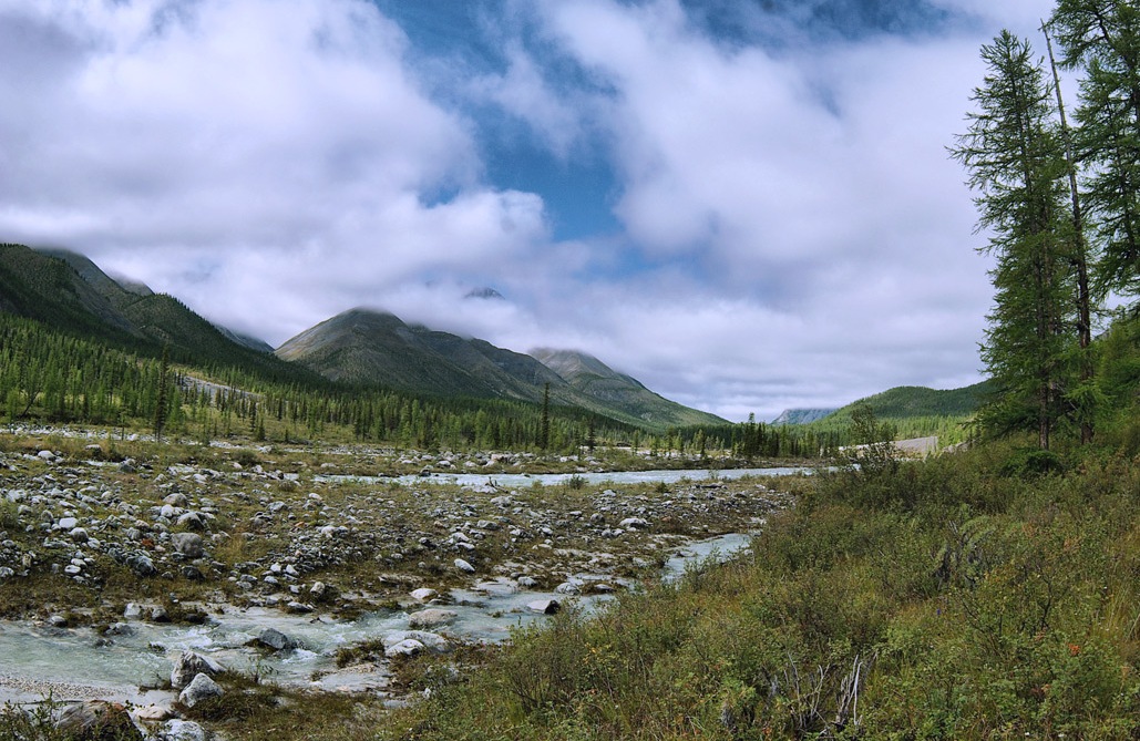 � �����-����� 