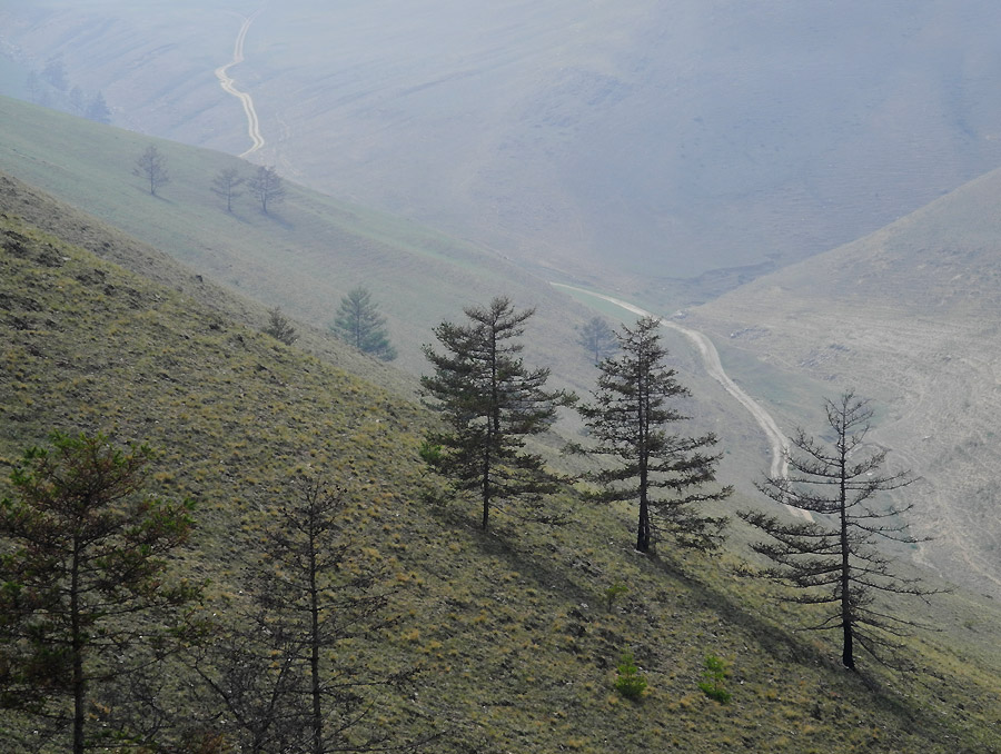 � ������ � ����� ����� ����...