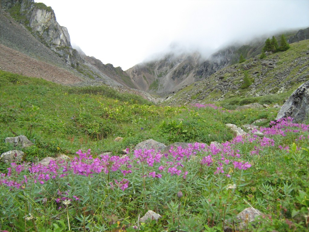 ������� ��������� �� �����-�� � ���������