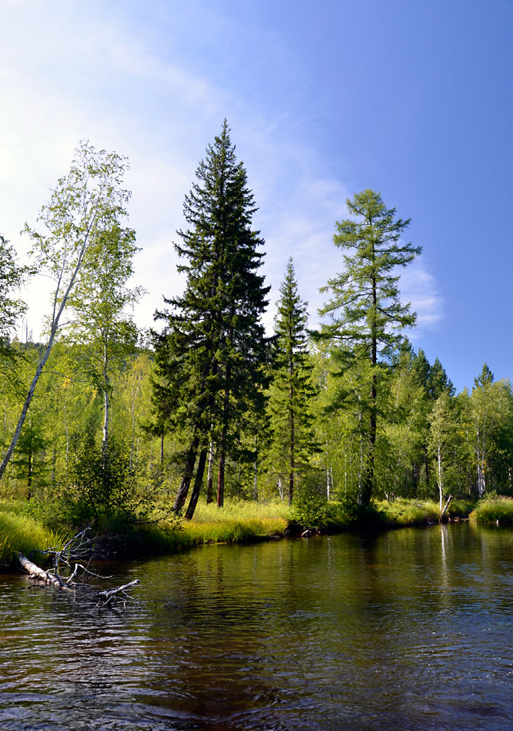 ������ �� ����