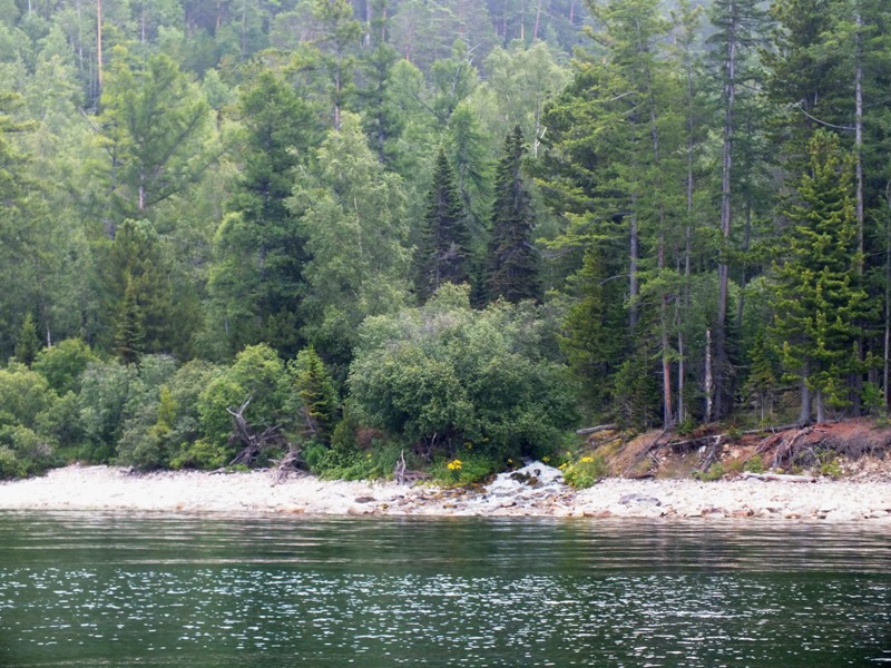 ���� �� ���������� ����� ������� ����