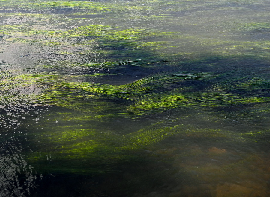 ��������� ����