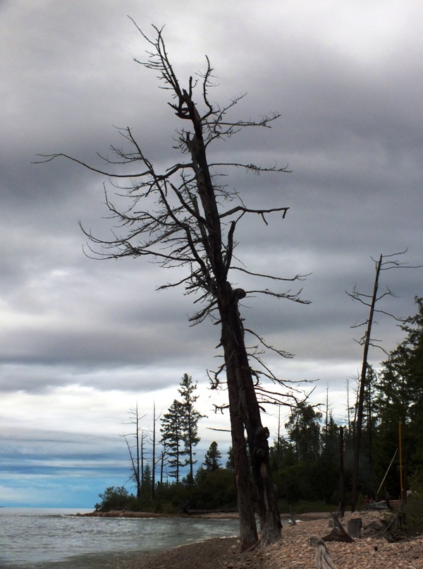 �������� � ���� �������