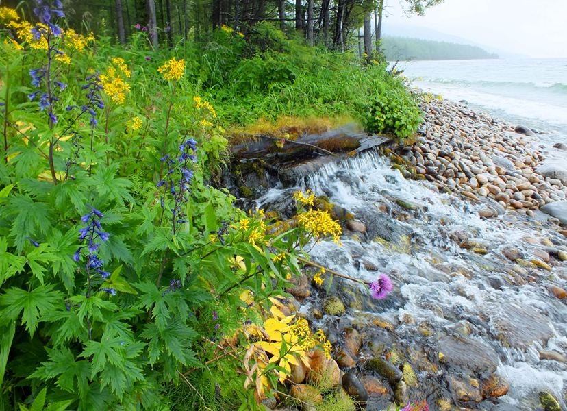 �����-���������