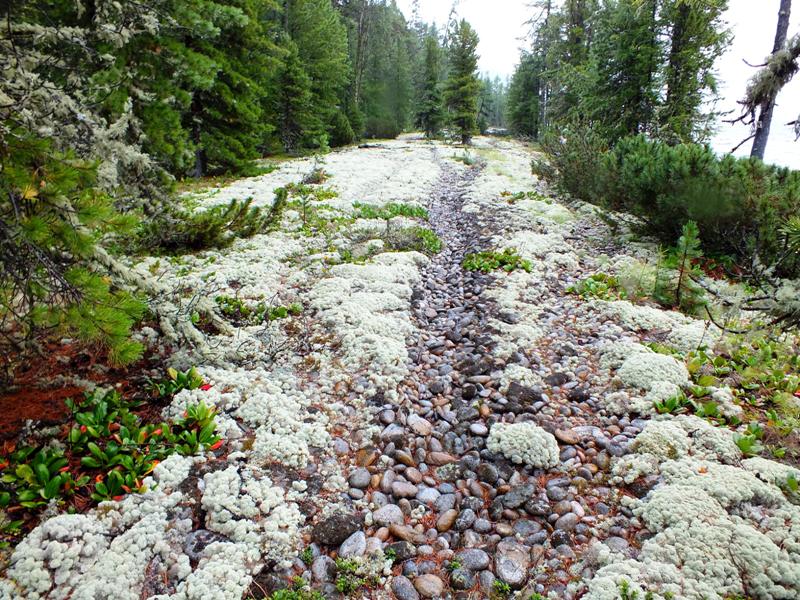 �������� ������