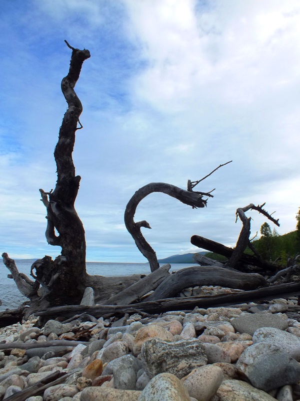 ���� ������� ���� ����� (��������������)