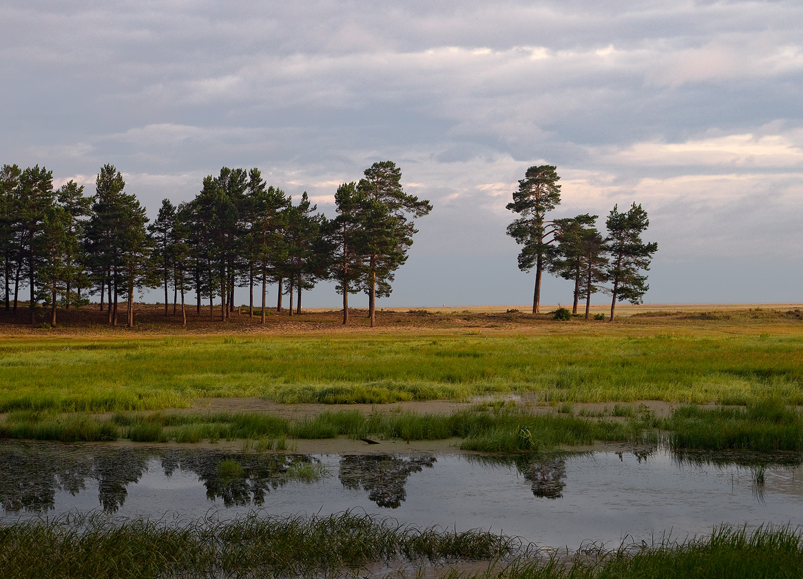 ������ � ������������� ������ �� ������� ����-���������