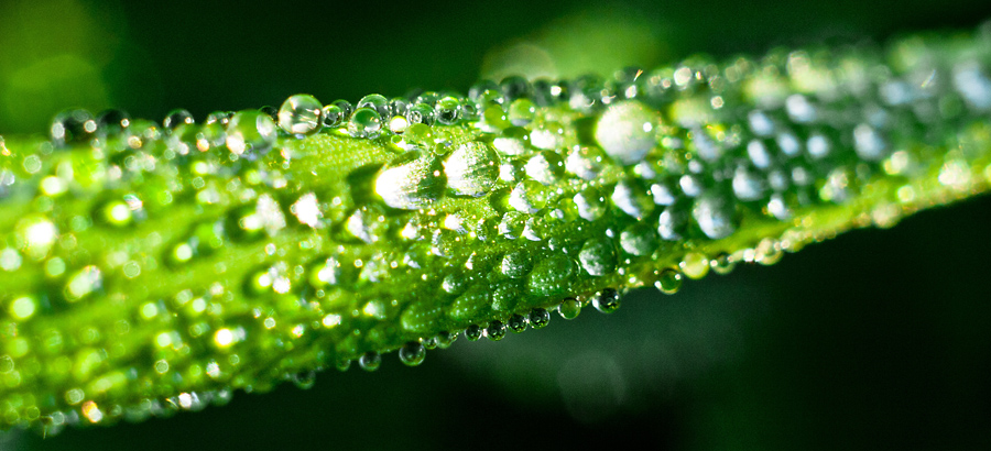 ��������� ������ �����..