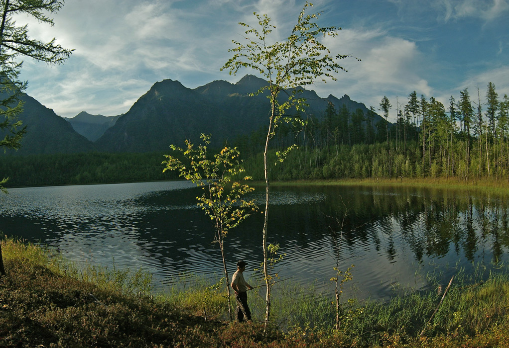 �������� ������