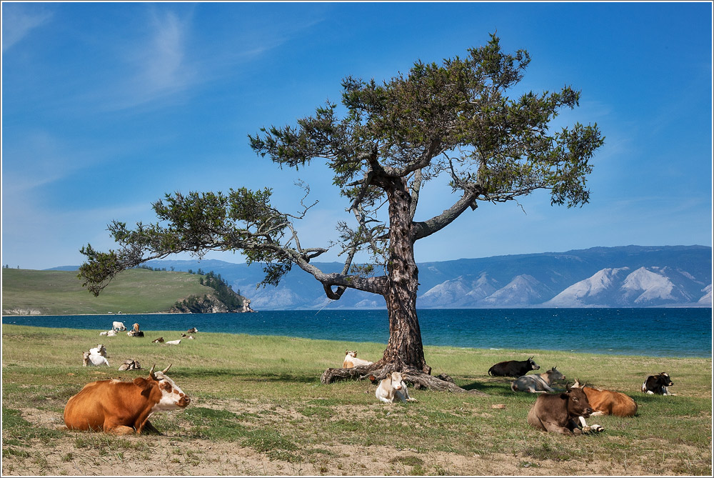 Baikal beach ( )