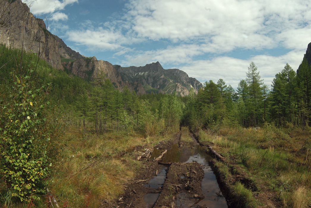 ������ ������