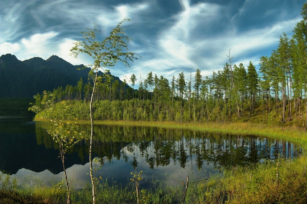 � ������� �����