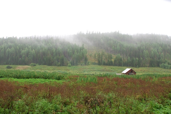Устье Чоры, Абакшино.