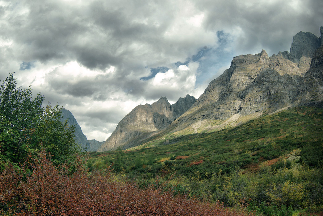 �������� �� ���� ���