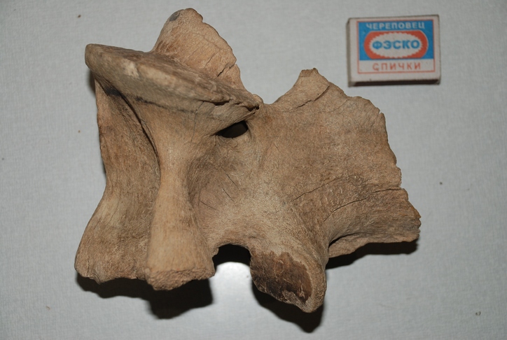 �������� 1