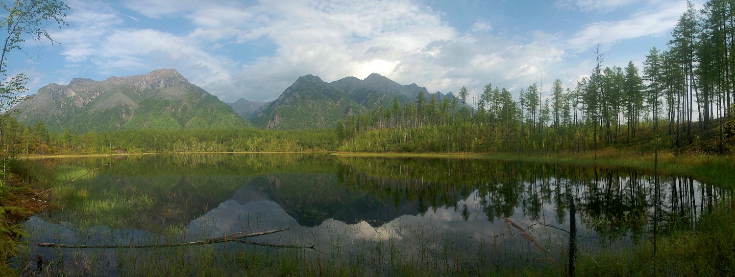 � �������� ������