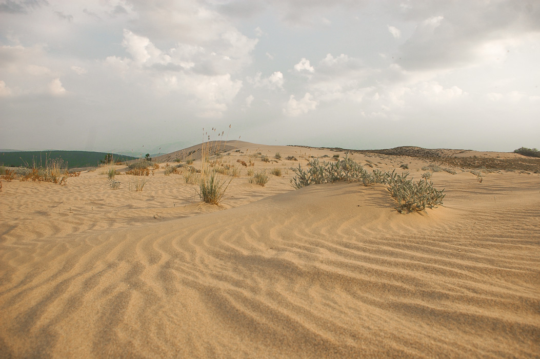 ����� ������