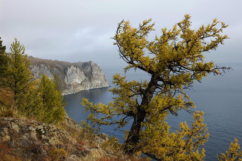 ������� � ���������� ������� �� �������